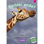 Key Links - Yintoni ende? (What is Long): Level 01/Magenta - ISBN 9781928531869