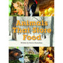 FLYING START ANIMALS THAT STORE L21 - ISBN 9781742341286