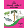 Letukile Setswana Puo ya Gae Grade 2 Reader 38: Ditshedi Tsotlhe di Botlhokwa (2026 edition) - ISBN 9781779978080