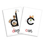 Phonemic wall cards - ISBN 9780639859781