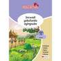Masicathule isiZulu Ulimi lwasekhaya Grade 3 Core Reader (2026 edition) - ISBN 9781779976161