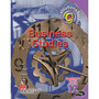 Solutions for All Business Studies Grade 12 Learner's Book - ISBN 9781431013715