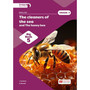 Snappy Sounds English First Additional Language Grade 3 Big Book 5: The Cleaners of the Sea and the Honey Bee (2026 edition) - ISBN 9781779979384