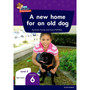 Oxford Reading for Comprehension Home Language Grade 2 Level 5 Reader 6: A new home for an old dog - ISBN 9780190793364