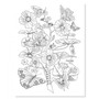 Djeco Naturalist - EAN 3070900086968