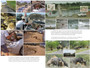 101 Kruger Tales - ISBN 9780620611329 (inside pages 3)