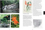 Field Guide to the Amaryllis Family of Southern Africa & Surrounding Territories - ISBN 9780620885911 (inside pages 2)