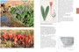 Field Guide to the Amaryllis Family of Southern Africa & Surrounding Territories - ISBN 9780620885911 (inside pages 4)