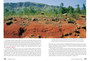Geological Journeys: A Traveller's Guide to South Africa's Rocks and Landforms - ISBN 9781770070622 (inside pages 4)