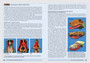 The Story of Earth & Life: A Southern African Perspective on a 4.6-Billion-Year Journey - ISBN 9781770071483 (inside pages 3)