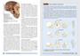 The Story of Earth & Life: A Southern African Perspective on a 4.6-Billion-Year Journey - ISBN 9781770071483 (inside pages 4)