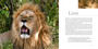 Big Five of Africa - ISBN 9781770071575 (inside pages 2)