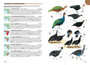 Chamberlain's Birds of Africa South of the Sahara - ISBN 9781770076235 (inside pages 3)