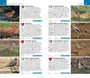 Pocket Guide Birds of Southern Africa - ISBN 9781770077690 (inside pages 3)