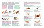My First Book of Southern African Creepy-Crawlies - ISBN 9781770078451 (inside pages 1)