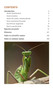 Pocket Guide Insects of East Africa - ISBN 9781770078949 (inside pages 4)