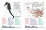 My First Book of Southern African Ocean Life - ISBN 9781770079885 (inside pages 1)