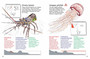 My First Book of Southern African Ocean Life - ISBN 9781770079885 (inside pages 2)