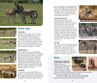 Behaviour Briefs: Quick Guide to Southern & East African Animal Behaviour - ISBN 9781775840190 (inside pages 3)