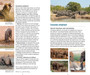 Behaviour Briefs: Quick Guide to Southern & East African Animal Behaviour - ISBN 9781775840190 (inside pages 4)
