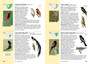 Sasol 300 Easy-to-See Birds in Southern Africa - ISBN 9781775841265 (inside pages 1)