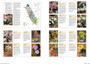 Wild Flowers of Namaqualand: A Botanical Society Guide - ISBN 9781775841319 (inside pages 4)