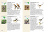 Sasol 300 maklik sigbare voëls in Suider-Afrika - ISBN 9781775841722 (inside pages 3)