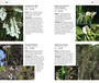 Wild Flowers of Kenya and Northern Tanzania - ISBN 9781775842453 (inside pages 2)