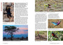 50 Top Birding Sites in Kenya - ISBN 9781775842484 (inside pages 4)