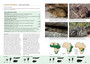 Stuarts' Field Guide to the Larger Mammals of Africa (4th edition) - ISBN 9781775842743 (inside pages 3)