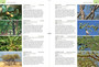 Wildlife of the Okavango - ISBN 9781775843382 (inside pages 1)