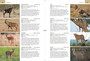 Wildlife of the Okavango - ISBN 9781775843382 (inside pages 3)