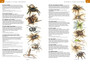 The Wildlife of Southern Africa - ISBN 9781775843535 (inside pages 2)