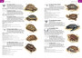 The Wildlife of Southern Africa - ISBN 9781775843535 (inside pages 4)