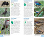 Pocket Guide to Birds of East Africa - ISBN 9781775843610 (inside pages 2)