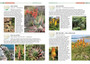 Field Guide to Succulents of Southern Africa - ISBN 9781775843672 (inside pages 3)
