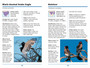 Sasol First Field Guide to Birds of Prey of Southern Africa - ISBN 9781775843832 (inside pages 1)