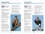 Sasol Eerste Veldgids tot Roofvoëls van Suider-Afrika - ISBN 9781775844044 (inside pages 2)