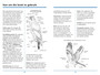 Sasol Eerste Veldgids tot Roofvoëls van Suider-Afrika - ISBN 9781775844044 (inside pages 3)