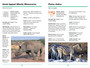 Sasol First Field Guide to Mammals of Southern Africa - ISBN 9781775844167 (inside pages 4)