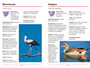 Sasol Eerste Veldgids tot Natuurlewe van Suider-Afrika - ISBN 9781775844280 (inside pages 4)