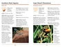 Sasol First Field Guide to Snakes & Other Reptiles of Southern Africa - ISBN 9781775844310 (inside pages 4)