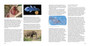 The Annotated Old Four Legs: The Story of the Coelacanth - ISBN 9781775844990 (inside pages 2)