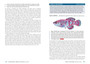 Fishes of the Okavango Delta & Chobe River, Botswana - ISBN 9781775845058 (inside pages 2)