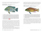Fishes of the Okavango Delta & Chobe River, Botswana - ISBN 9781775845058 (inside pages 4)
