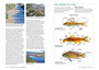 Freshwater Fishes of Southern Africa: A Complete Guide (3rd edition) - ISBN 9781775845317 (inside pages 4)