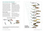 Freshwater Fishes of Southern Africa: A Complete Guide (3rd edition) - ISBN 9781775845317 (inside pages 8)