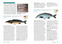 Freshwater Fishes of Southern Africa: A Complete Guide (3rd edition) - ISBN 9781775845317 (inside pages 11)