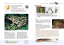 Frogs of Southern Africa: A Complete Guide - ISBN 9781775845447 (inside pages 3)