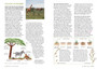 Grasses of East Africa - ISBN 9781775845485 (inside pages 1)